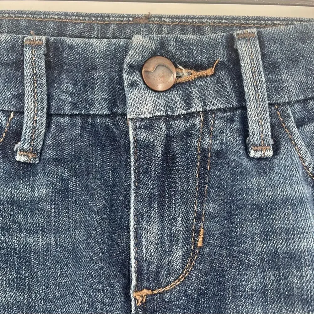 Joe’s Jeans Provocateur Shorts | Size 25